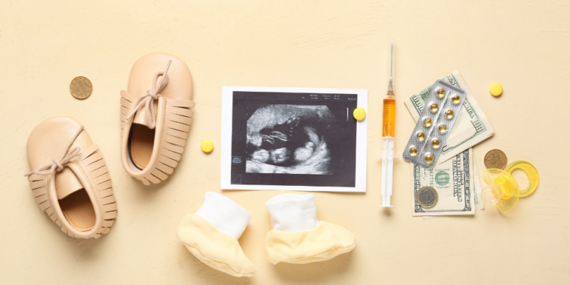 IVF (In Vitro Fertilization)