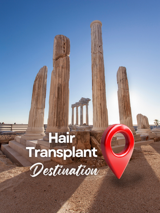 Social Media Youtube & Instagram